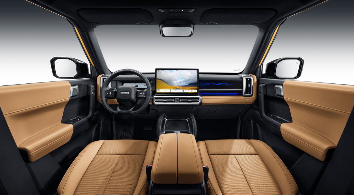 Multi-Function Steering Wheel